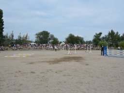 DSC_9517_web